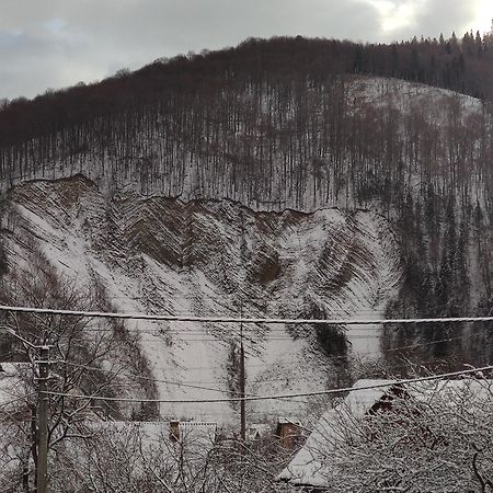 "У Пасічника" Котедж Для Сім'Ї Yaremche Exterior photo