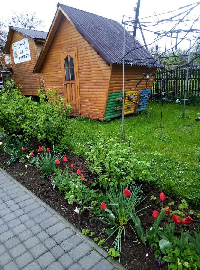 "У Пасічника" Котедж Для Сім'Ї Yaremche Exterior photo